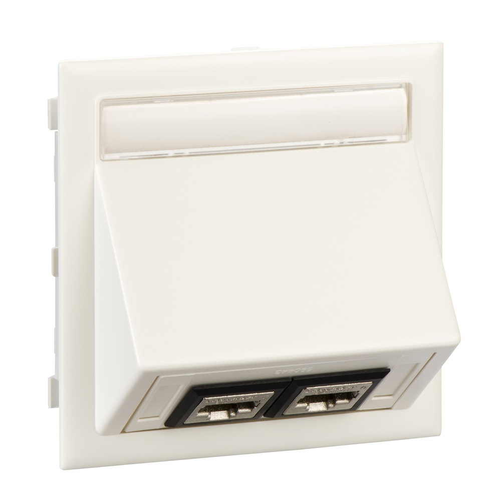 Schneider Electric Dateneinsatz 5974107