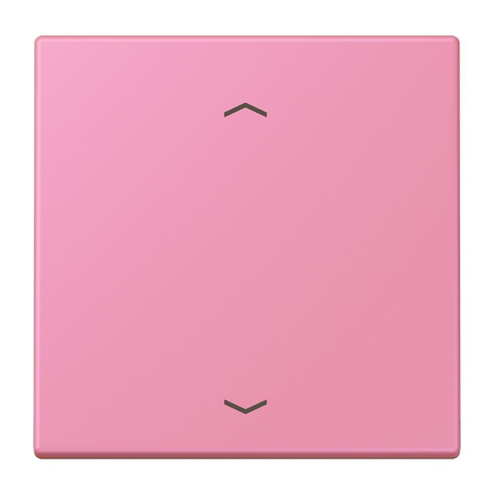 Jung Management Taster 1fach LC1700P246