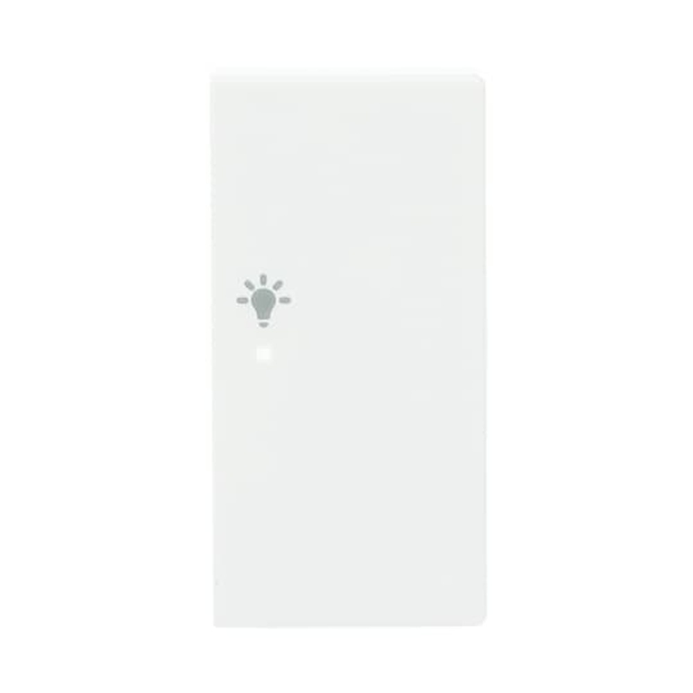 Busch-Jaeger Wippe 6231-22-84 Nr. 2CKA006220A0064