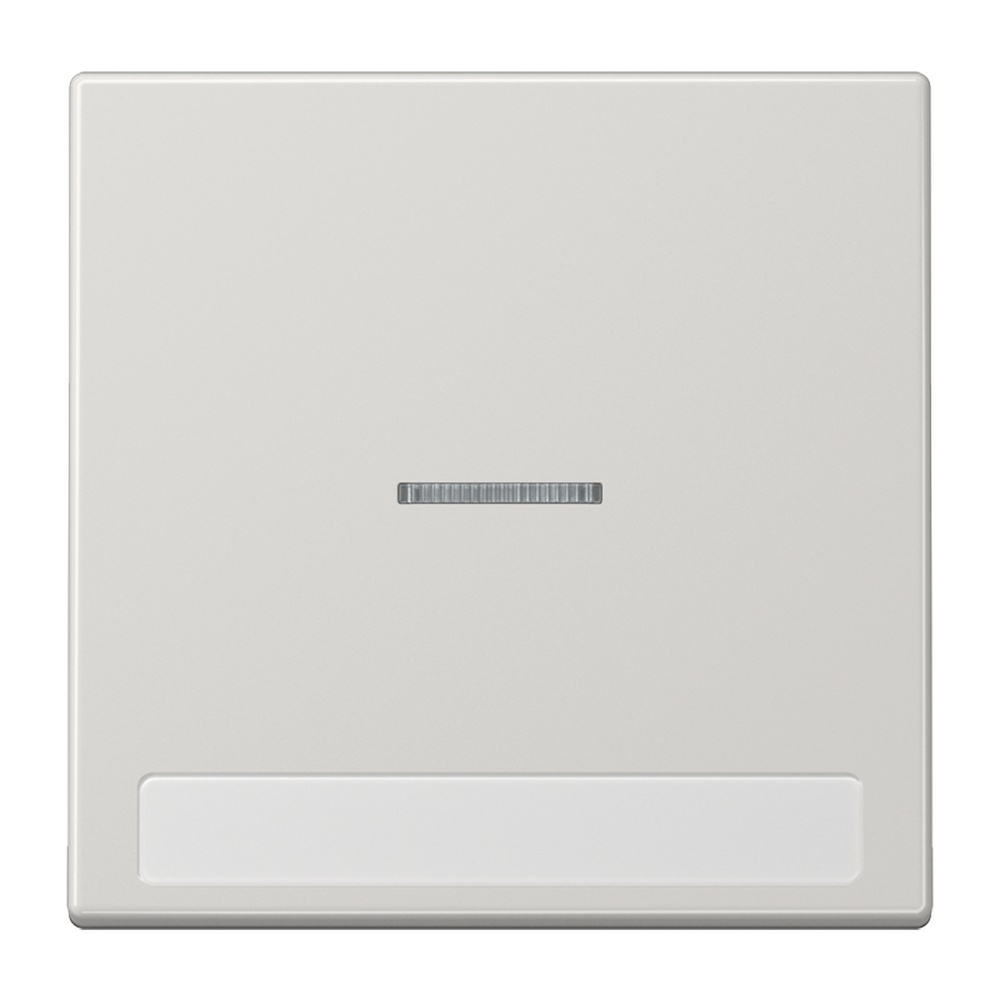 Jung Wippe LS 990 NAKO5 LG
