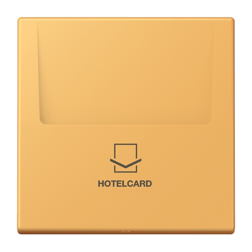 Jung Hotelcard Schalter LC590CARD254