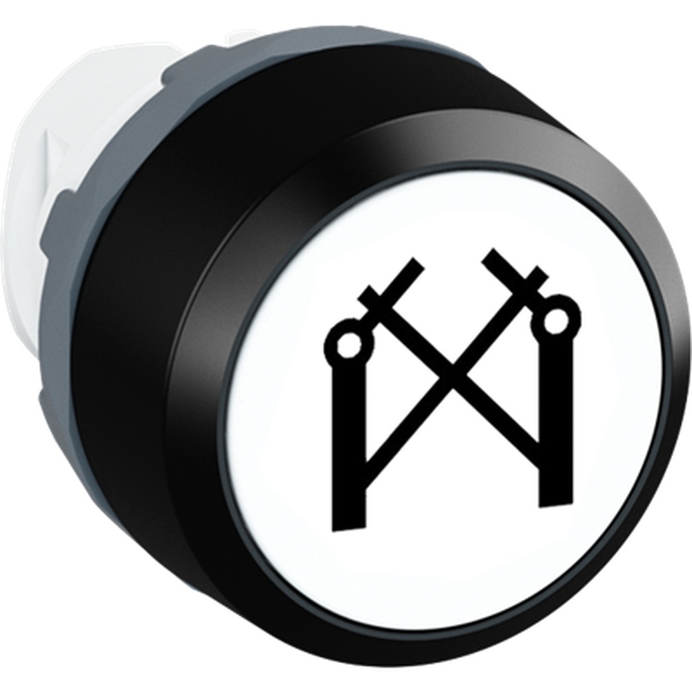ABB Frontelement für Drucktaster 1SFA611199R1221 Typ MP2-10W-L EINGANG