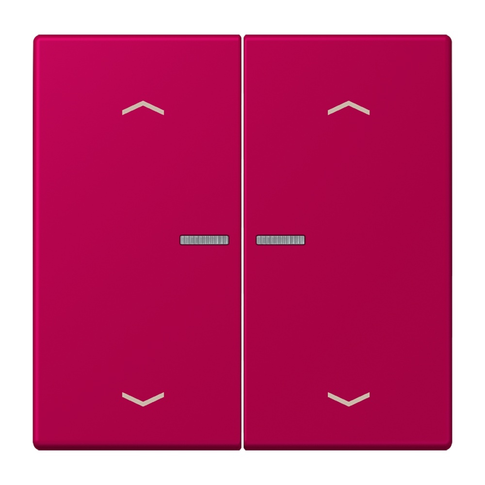 Jung JUNG HOME Taster BTLC17102P230