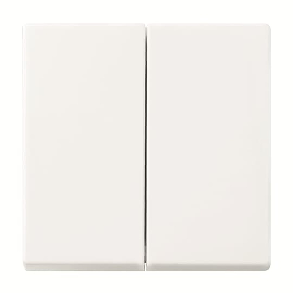 Busch-Jaeger Wippe 2fach FoH 6736 FoH-914 Nr. 2CKA006730A0152