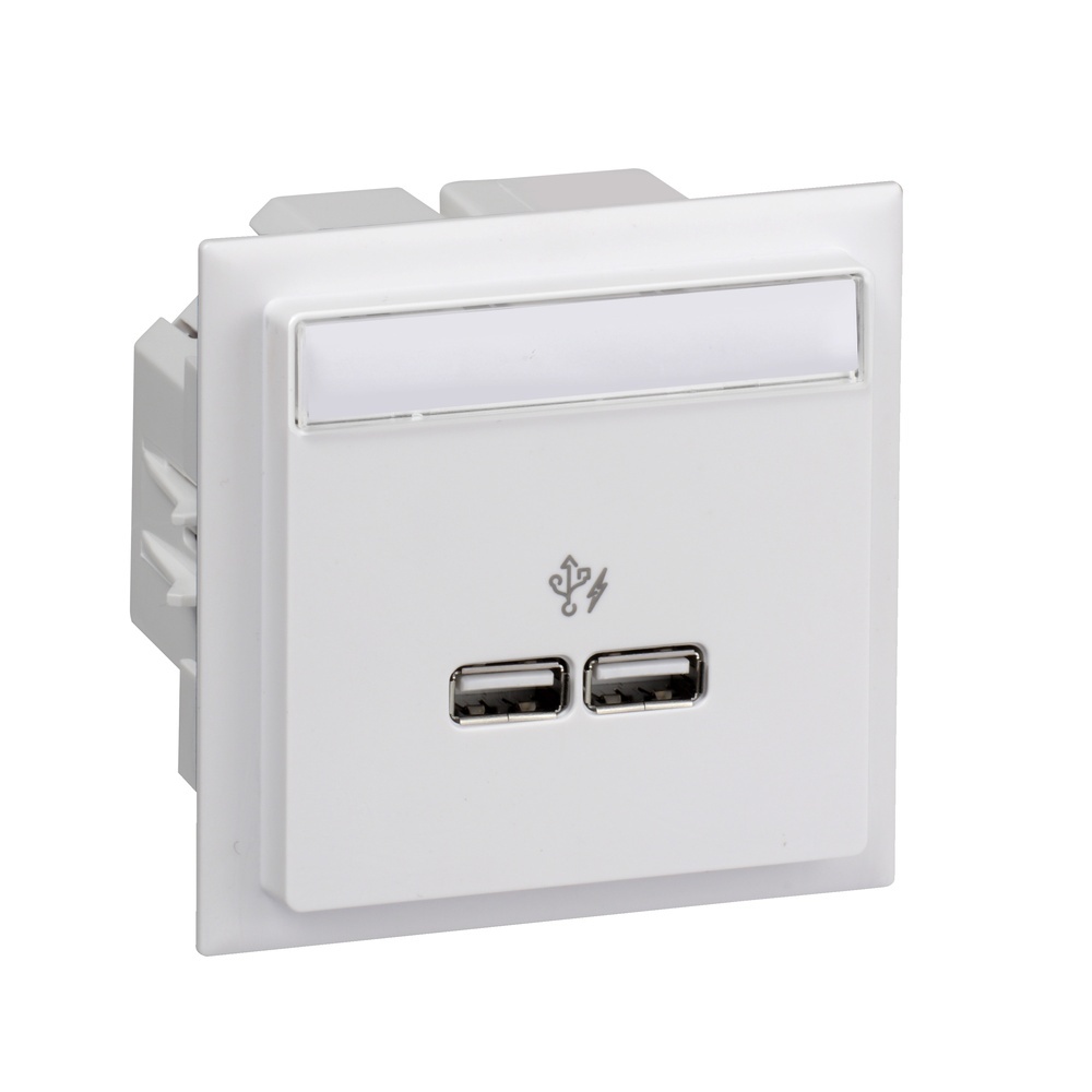 Schneider Electric Ladestation INS60520
