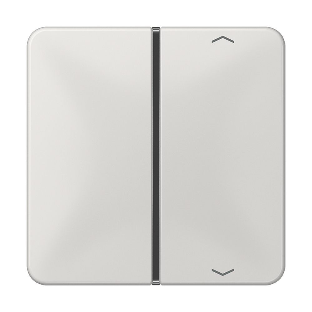 Jung Taste 1fach CD 401 TSAP LG Jung Taste 1fach CD 401 TSAP LG