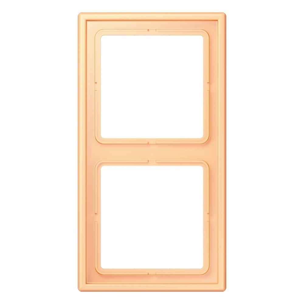 Jung Rahmen LC982258