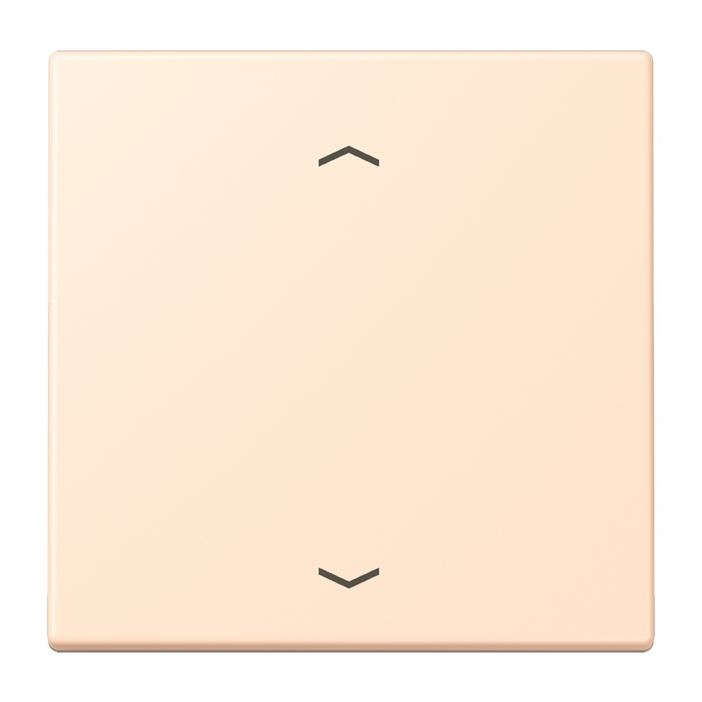 Jung Management Taster 1fach LC1700P238