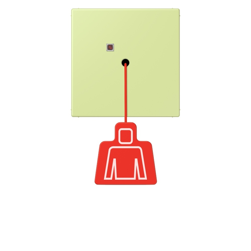 Jung Notrufsystem Zugtaster NRSLC0834ZT222