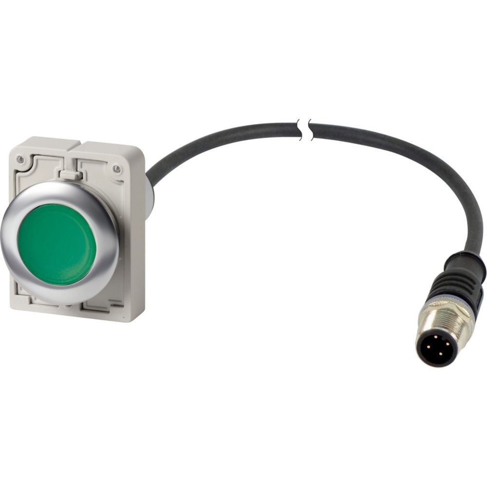 Eaton Leuchtdrucktaste 186009 Typ C30C-FDRL-G-K10-24-P5