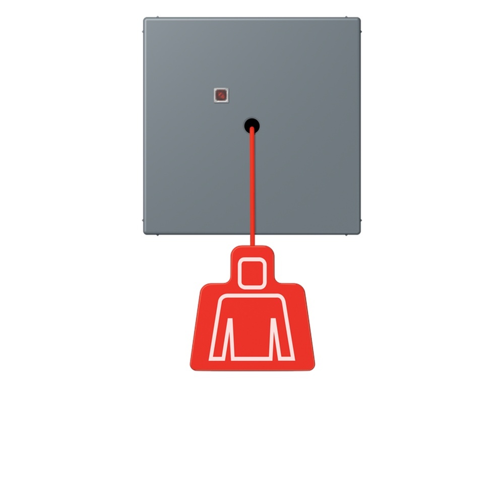 Jung Notrufsystem Zugtaster NRSLC0834ZT251