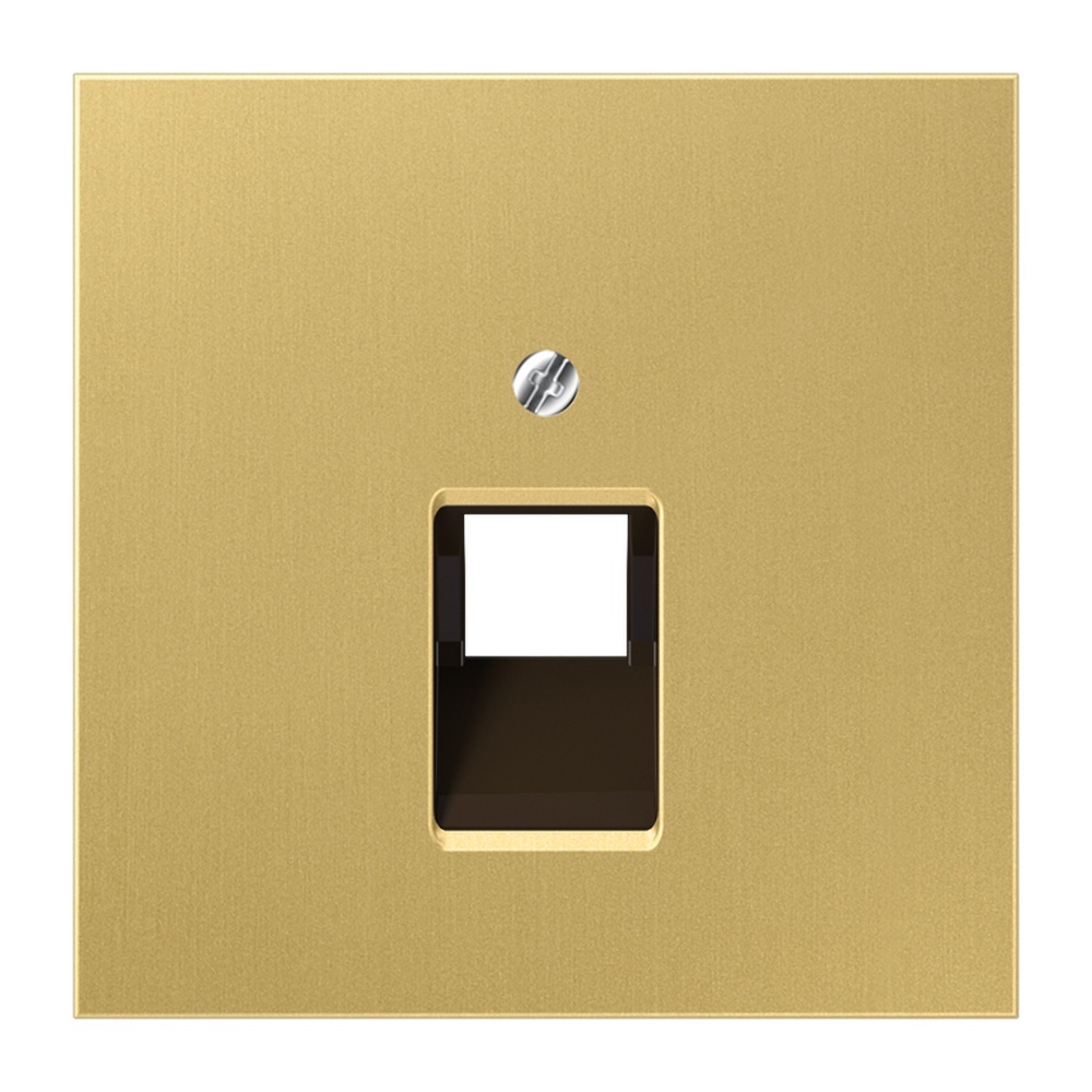 Jung Abdeckung IAE/UAE ME 2969-1 UA C