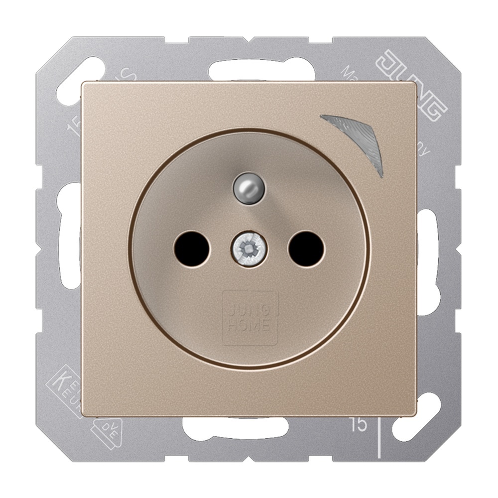 Jung JUNG HOME Steckdose BTA1521FSECH