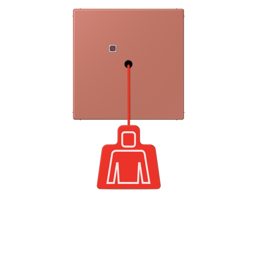 Jung Notrufsystem Zugtaster NRSLC0834ZT236