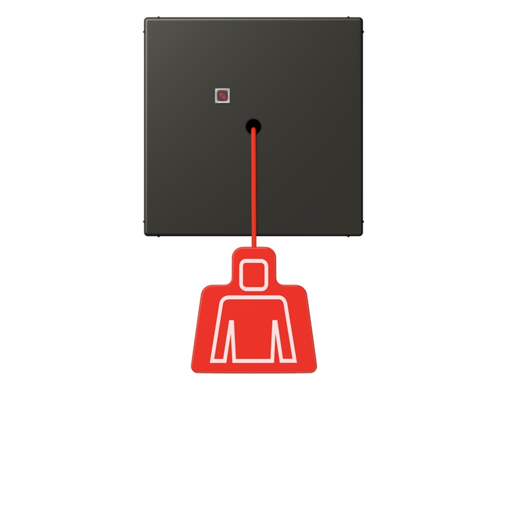 Jung Notrufsystem Zugtaster NRSLC0834ZT259