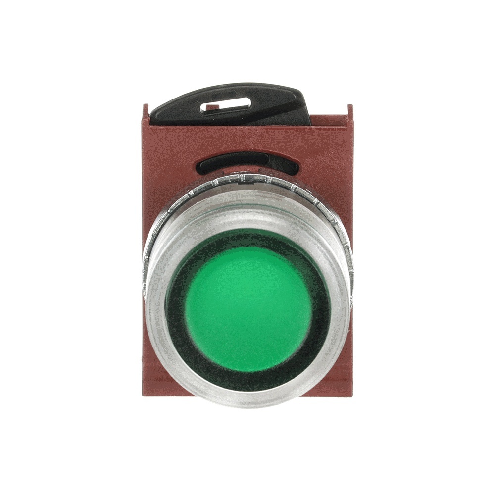 ABB Frontelement für Drucktaster 1SFA184492R9102 Typ P9MPLVGD