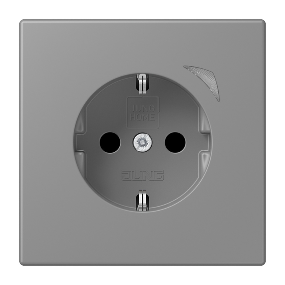 Jung JUNG HOME SCHUKO Steckdose BTLC1521SE203