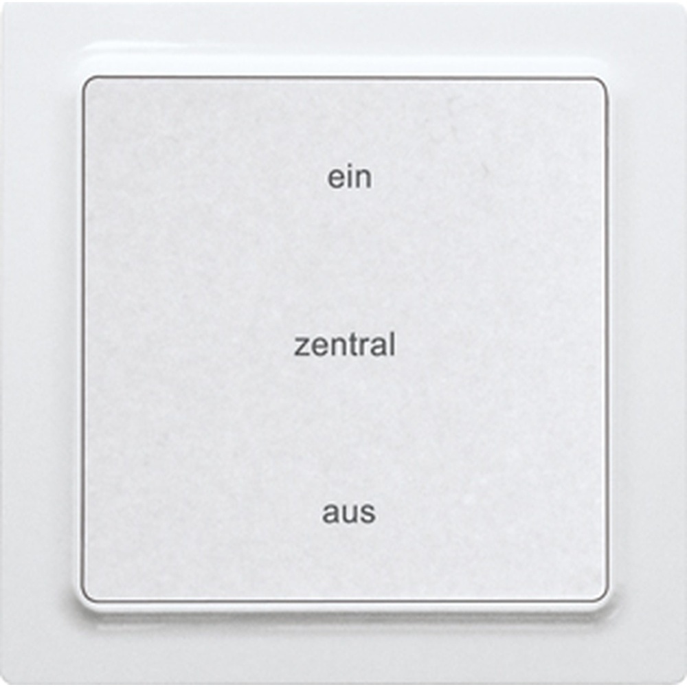 ELTAKO Funktaster 30055442 Typ F2ZT55E-am