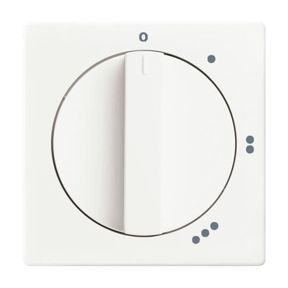 Busch-Jaeger Zentralscheibe 2542 DR/01-884 Nr. 2CKA001710A3890