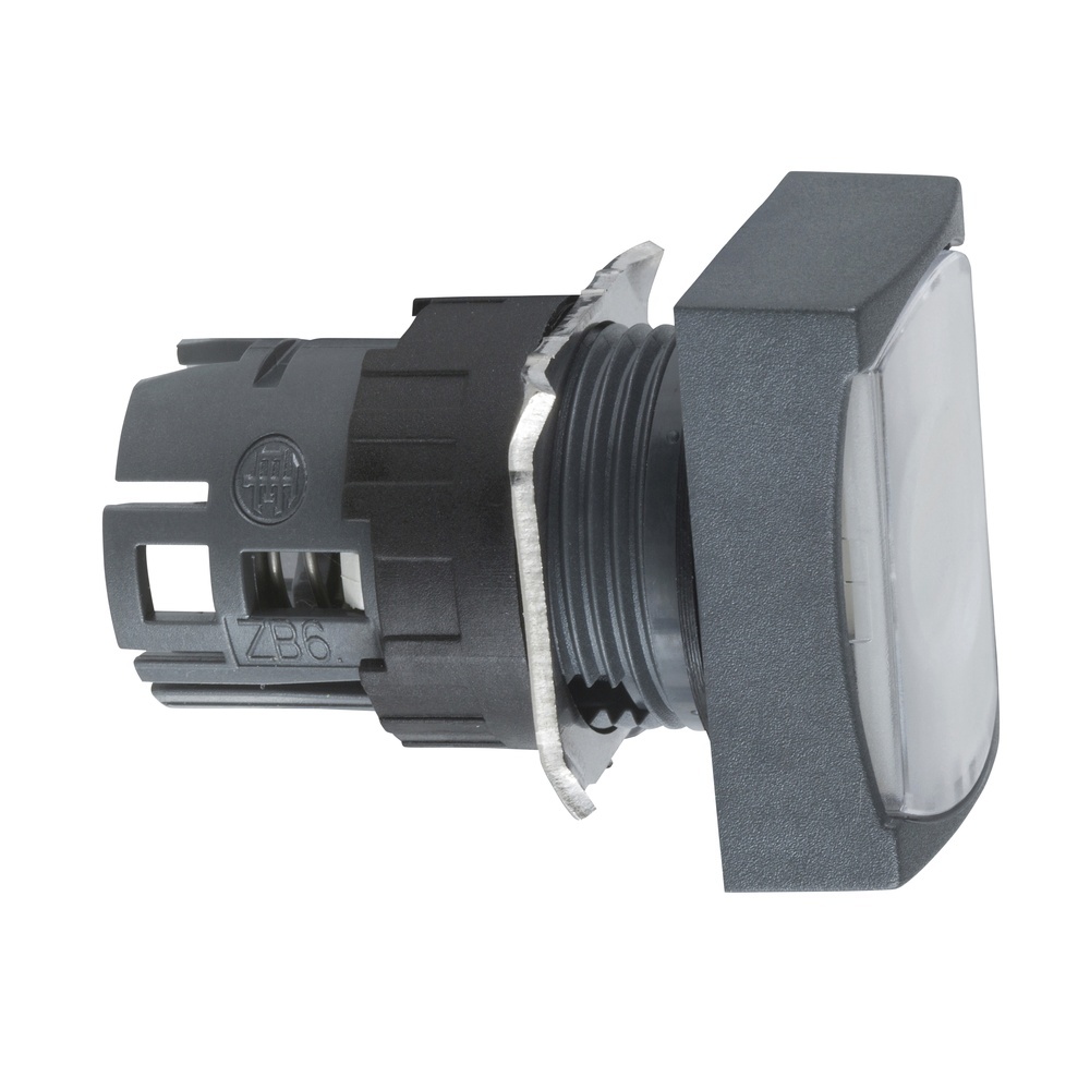 Schneider Electric Frontelement ZB6DF1