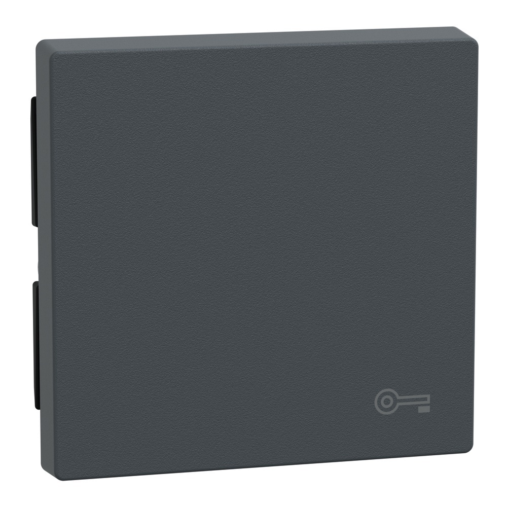 Merten Wippe MEG3303-0414
