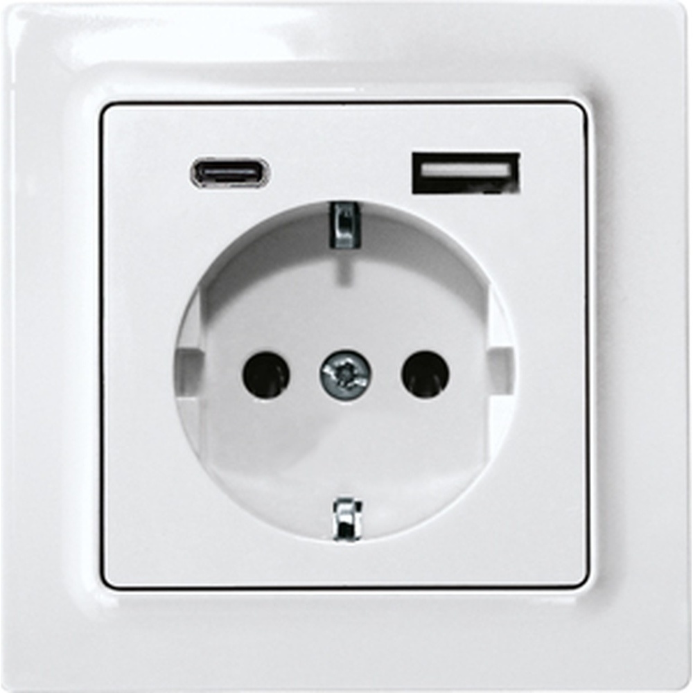ELTAKO Schutzkontakt Steckdose 30055897 Typ DSS55E+USBA+C-wg