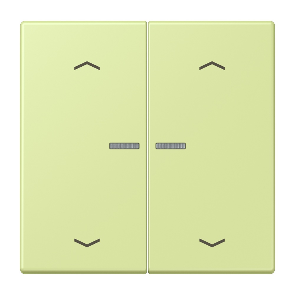 Jung JUNG HOME Taster BTLC17102P222