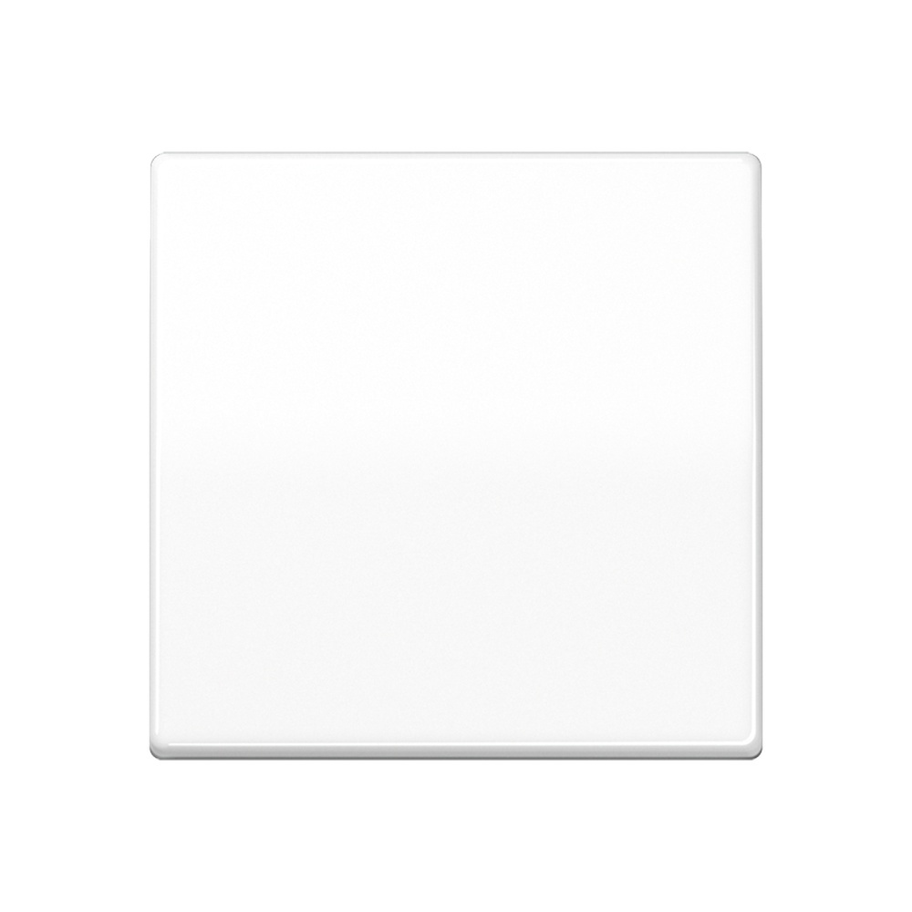 Jung Wippe 1fach SPAS591WW