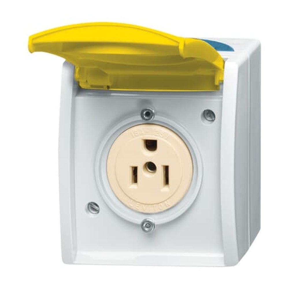 Busch-Jaeger Nema Steckdose 3015 EWN-53 Nr. 2CKA002124A0023