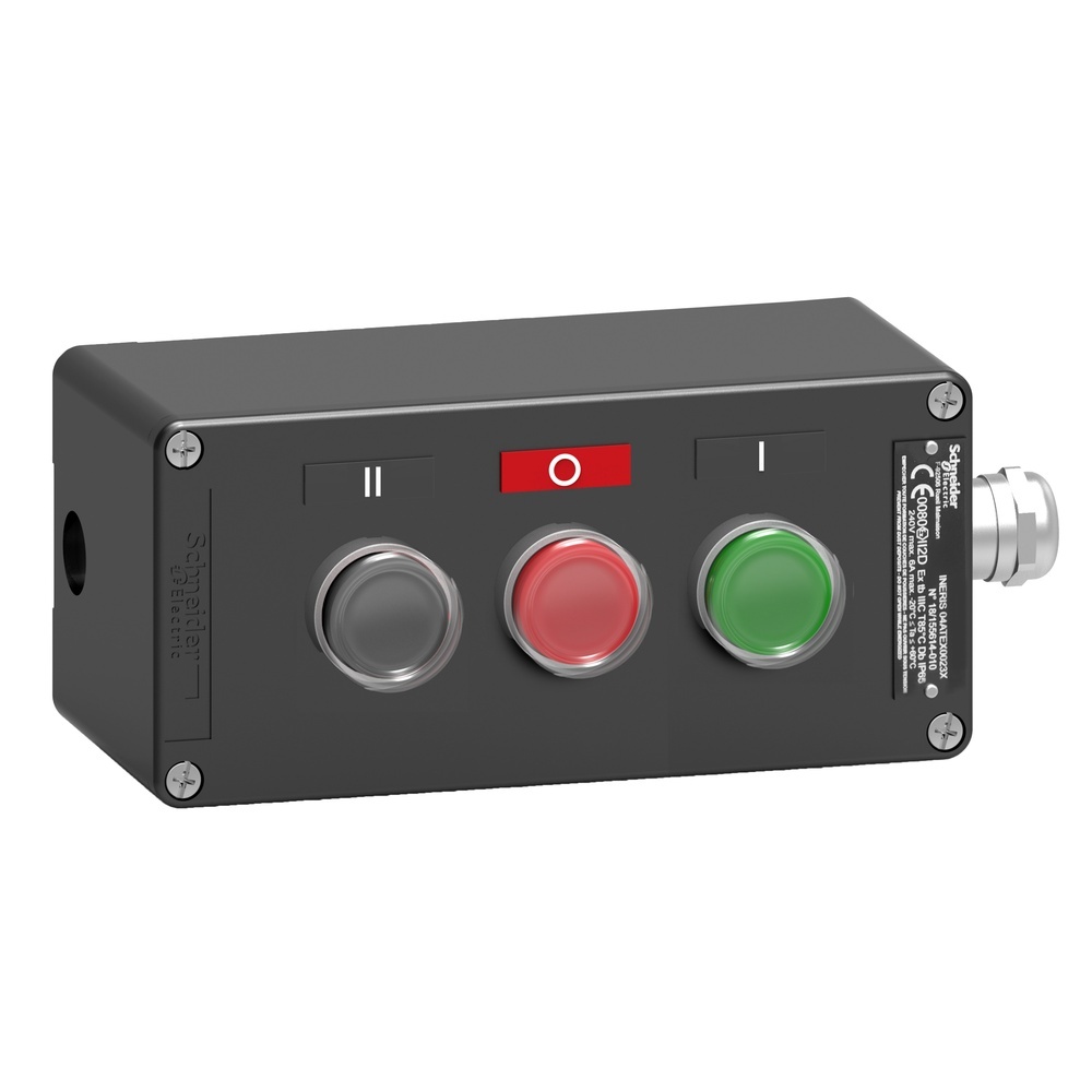 Schneider Electric Tasterstation XAWF310EX