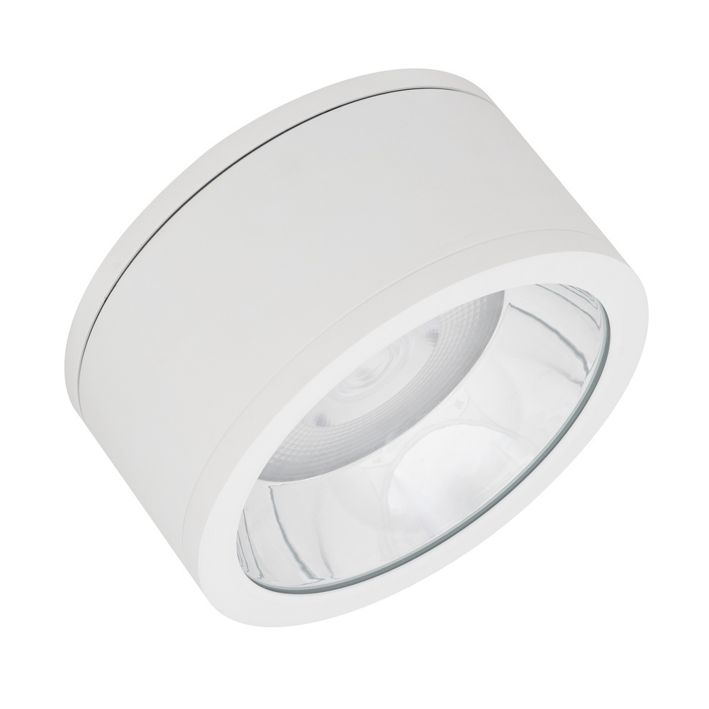 Ledvance Osram Anbau Downlight 769298