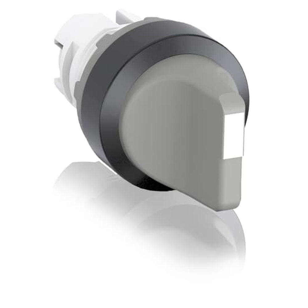 ABB Frontelement für Wahlschalter 1SFA611200R1007 Typ M2SS1-10U