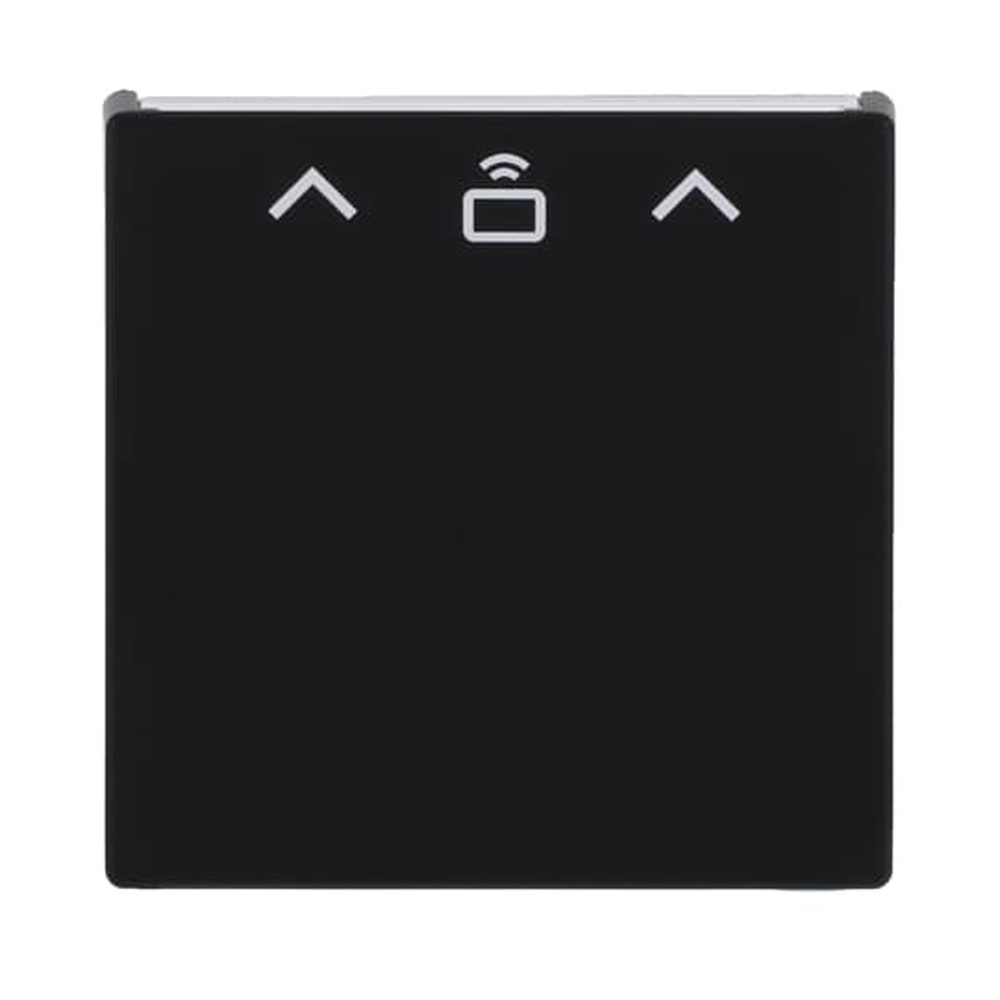 Busch-Jaeger Zentralscheibe Cardschalter 1792 RFID-885 Nr. 2CKA001710A4131