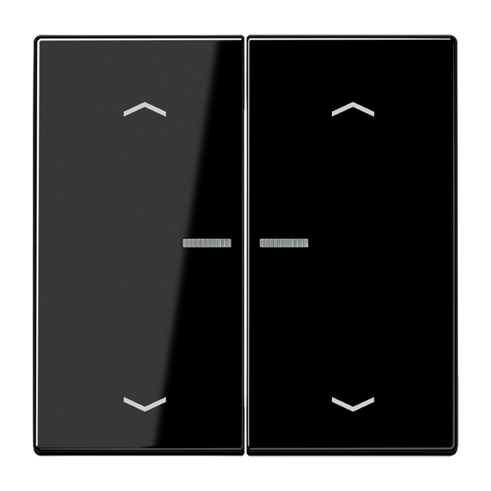 Jung JUNG HOME Taster BTLS17102PSW