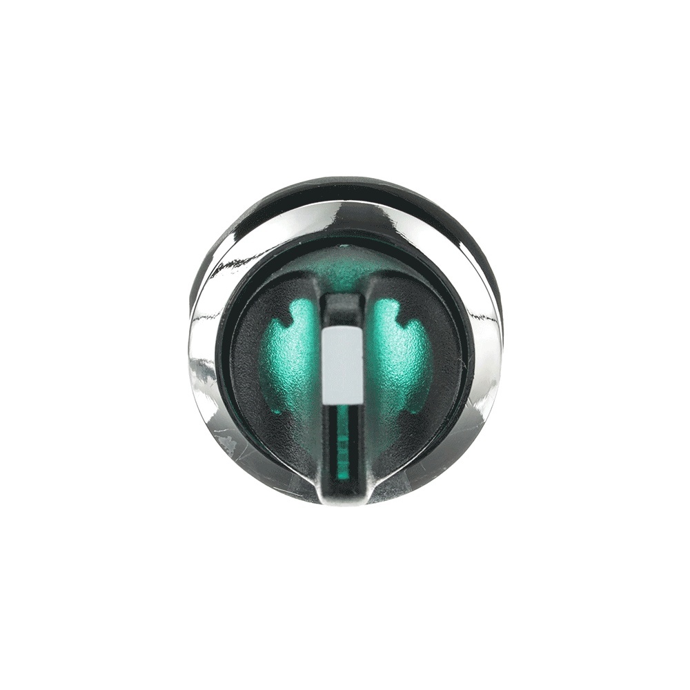 ABB Frontelement für Wahlschalter 1SFA611211R3102 Typ M3SS2-31G