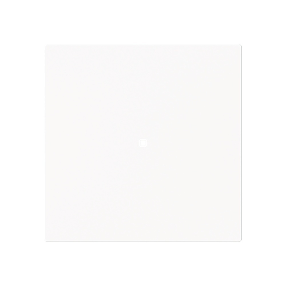 Busch-Jaeger Wippe 6230-10-44M Typ 2CKA006220A0925