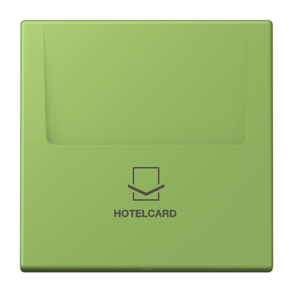 Jung Hotelcard Schalter LC590CARD220