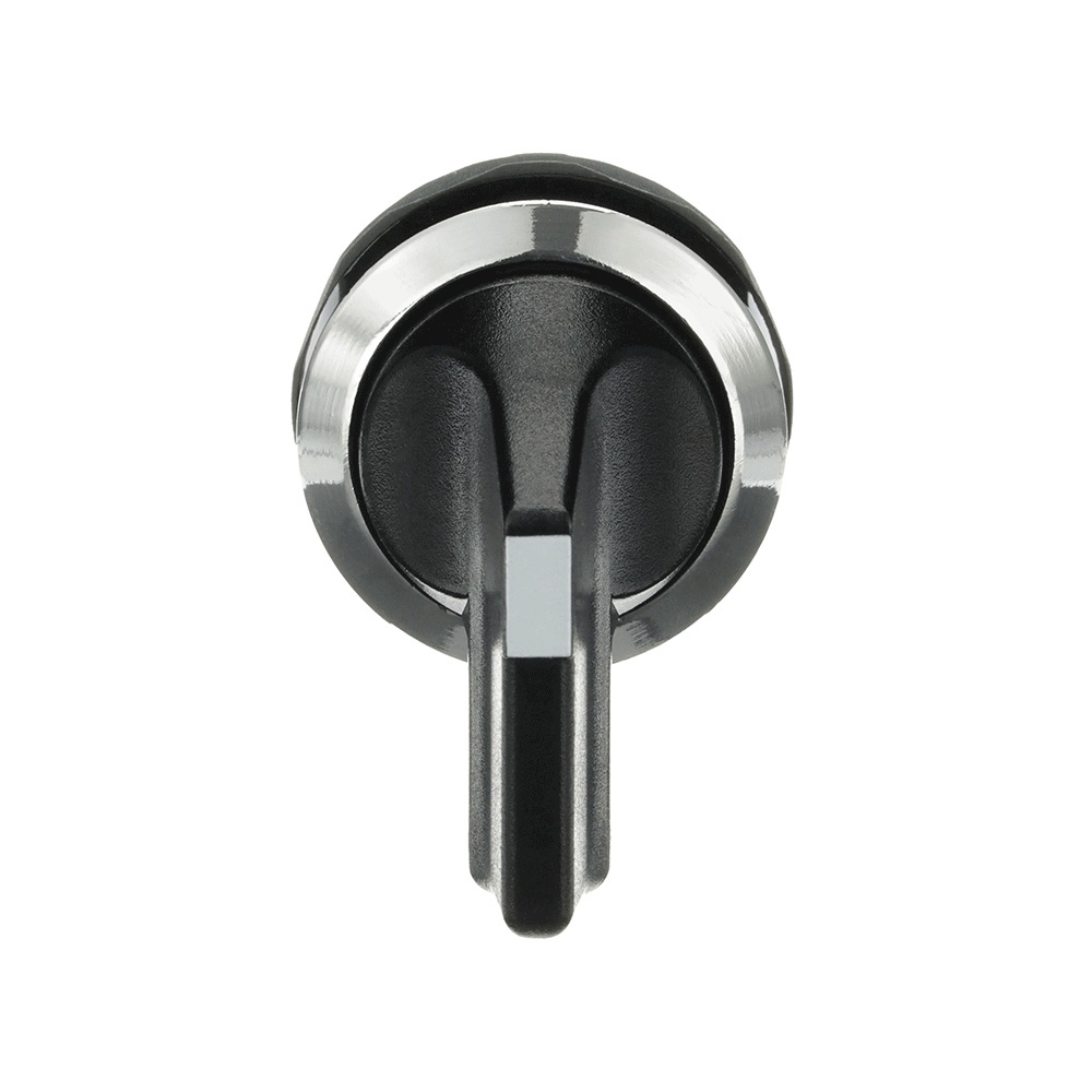 ABB Frontelement für Wahlschalter 1SFA611204R3006 Typ M2SS5-30B