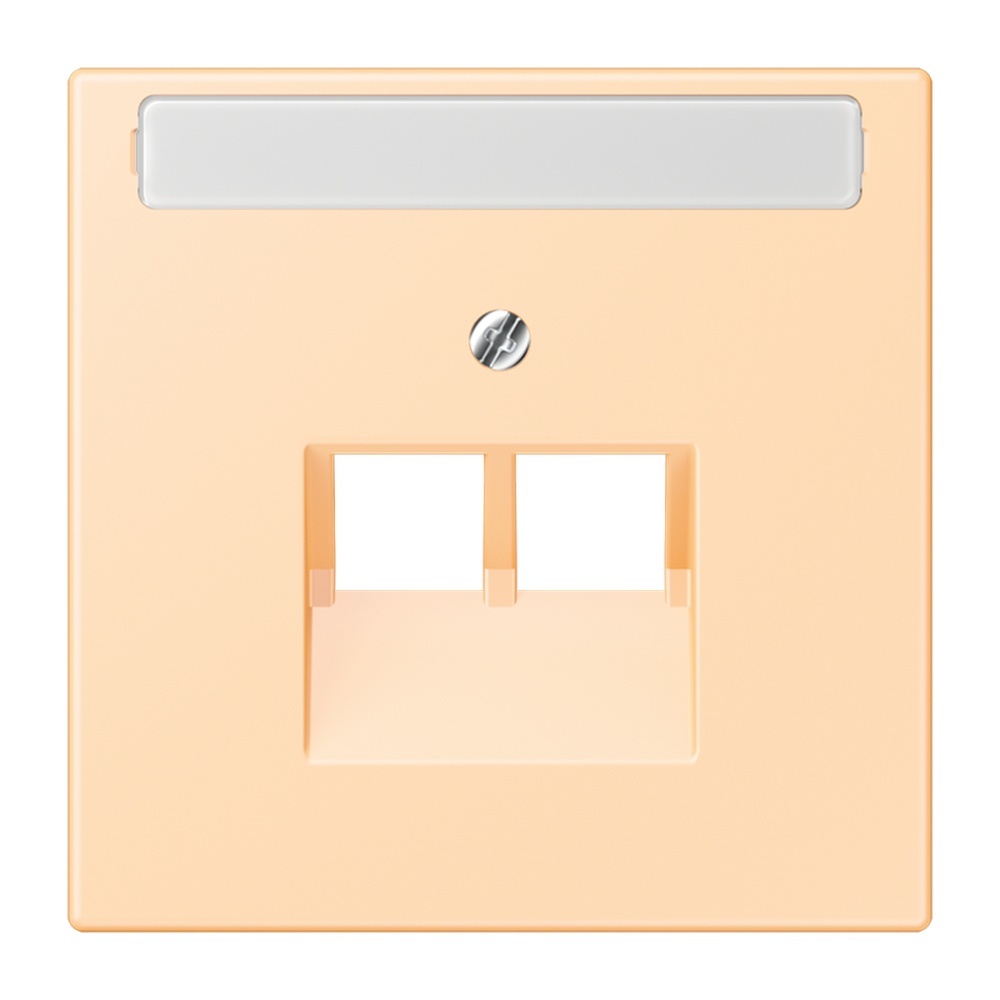 Jung Abdeckung LC969-2NAUA223