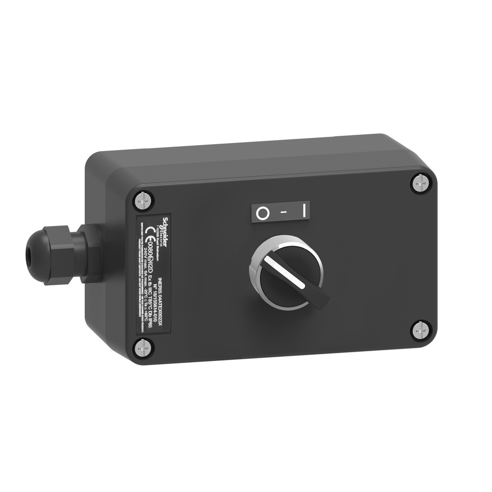 Schneider Electric Tasterstation XAWG130EX