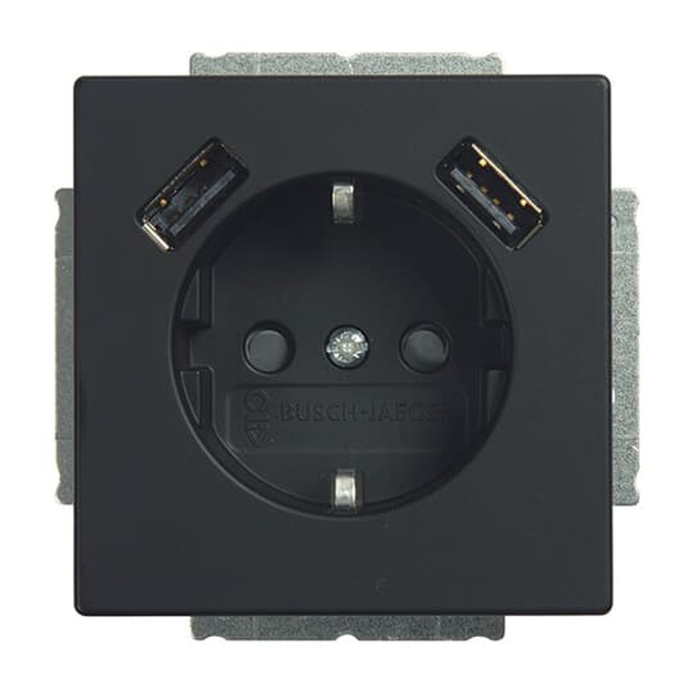 Busch-Jaeger Schuko USB Steckdose 20 EUCB2USB-885 Nr. 2CKA002011A6279