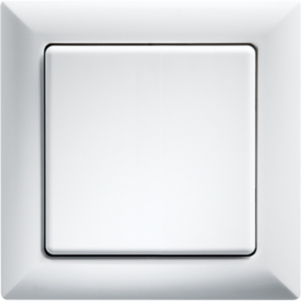 ELTAKO Wippschalter 30000635 Typ WS55-wg