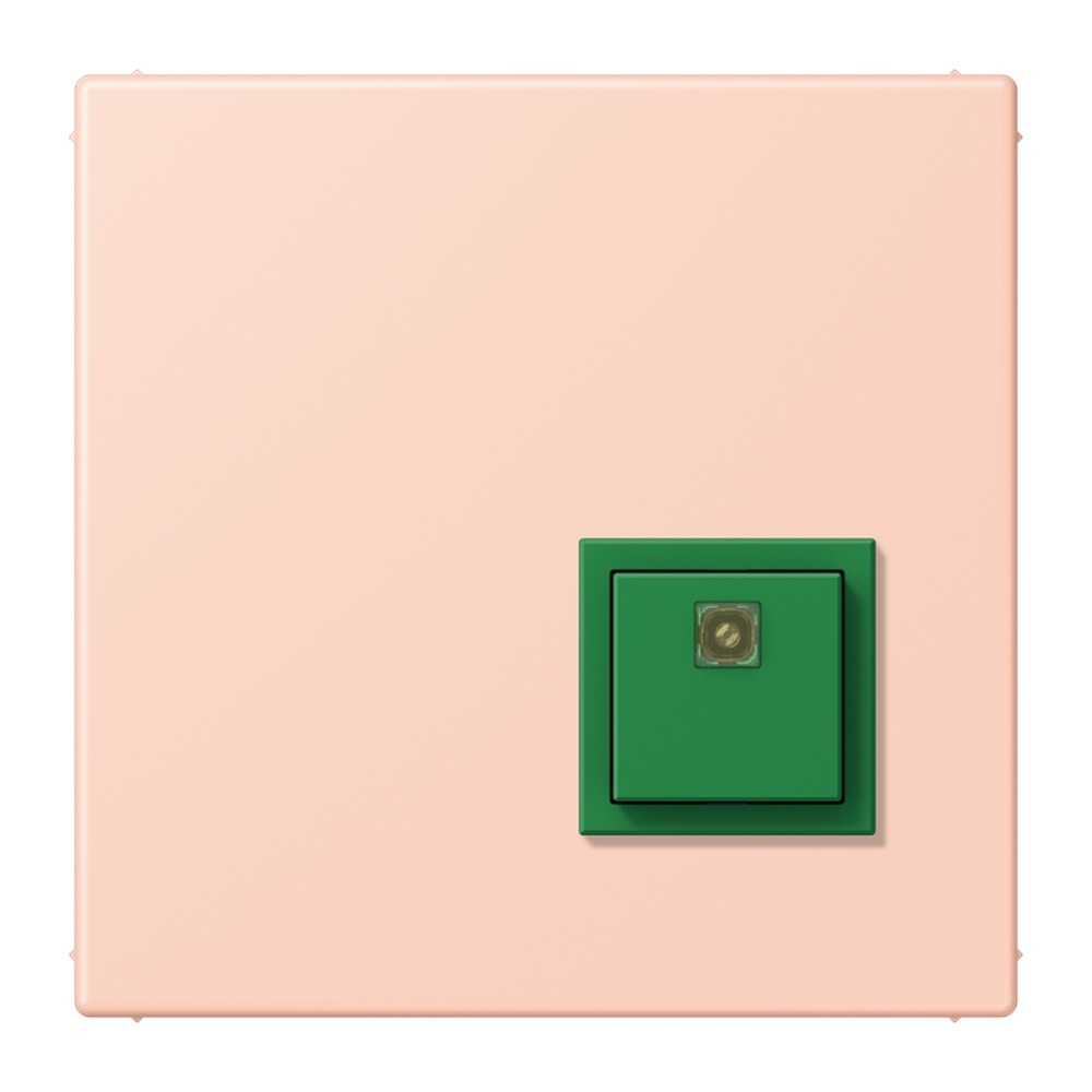 Jung Notrufsystem Abstelltaster NRSLC0834AT234