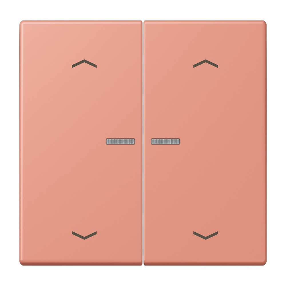 Jung JUNG HOME Taster BTLC17102P233