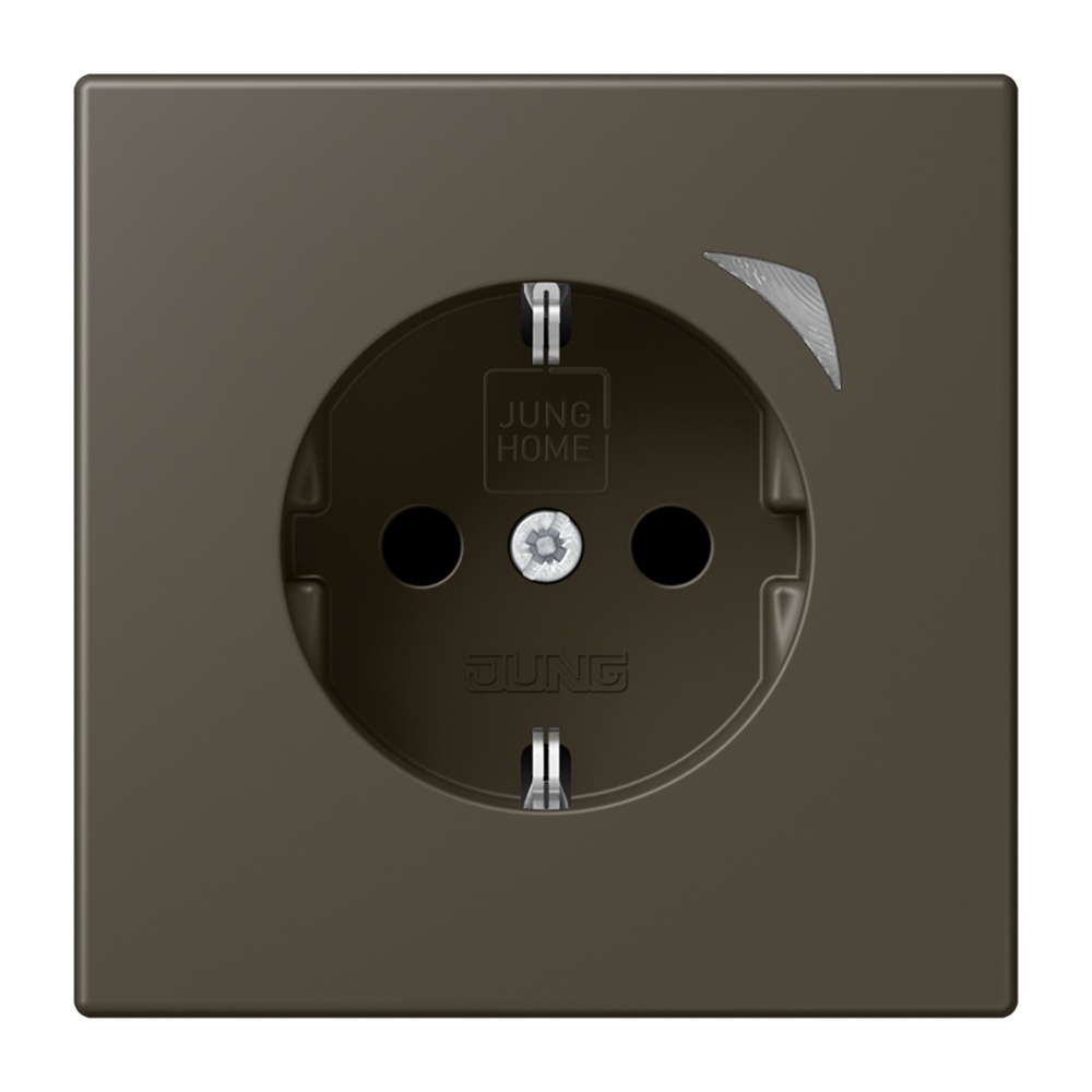 Jung JUNG HOME SCHUKO Steckdose BTLC1521SE241