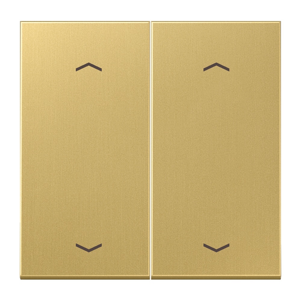 Jung Serienwippe ME102PC