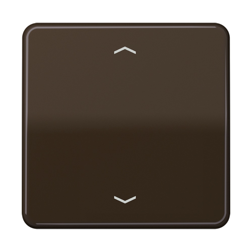 Jung Steuertaste CD1700PBR