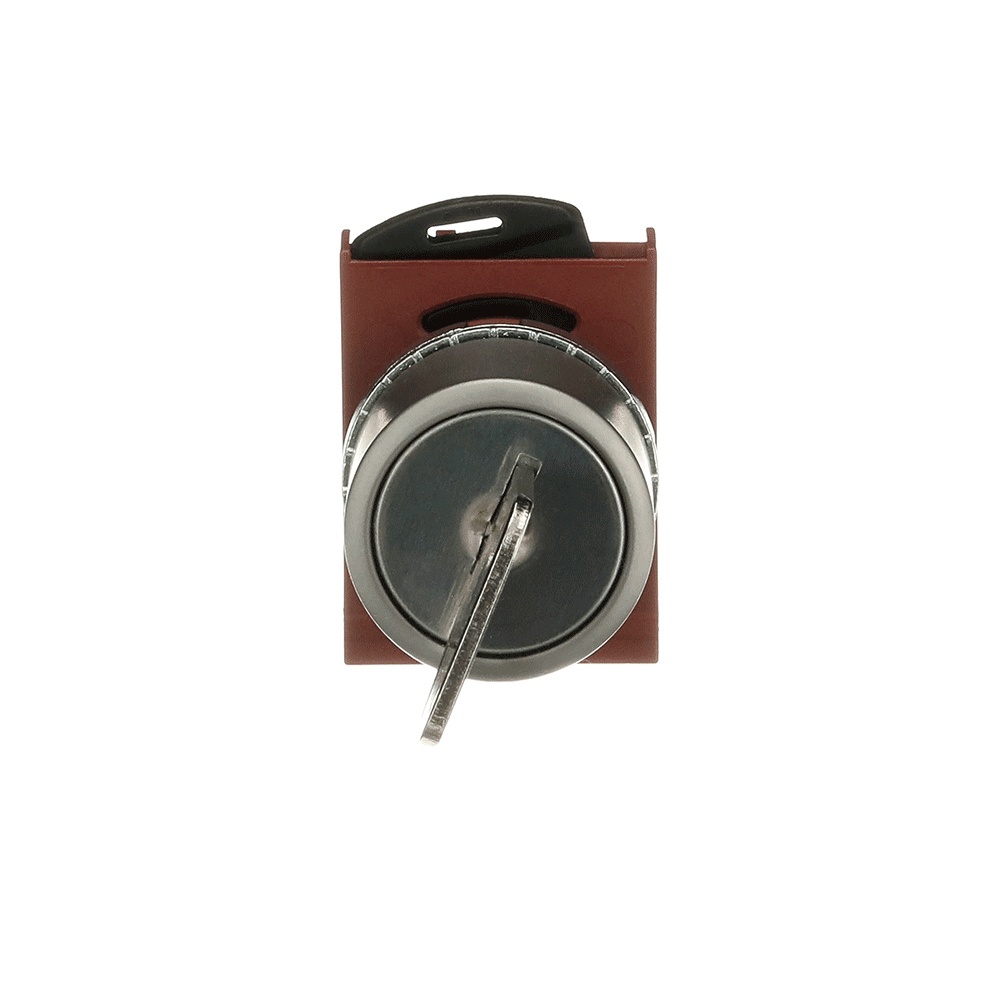 ABB Frontelement für Wahlschalter 1SFA184468R9006 Typ P9MSCX0A95