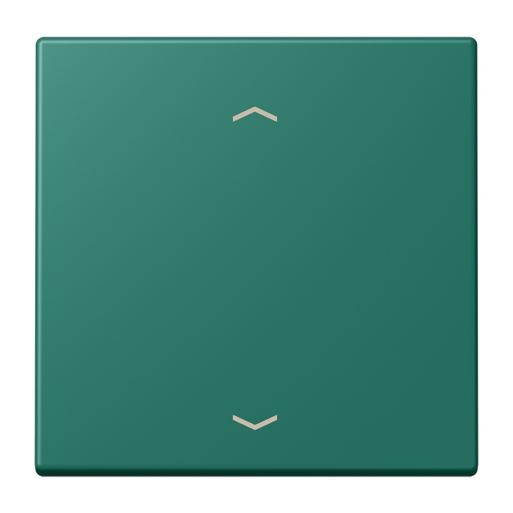 Jung Management Taster 1fach LC1700P216