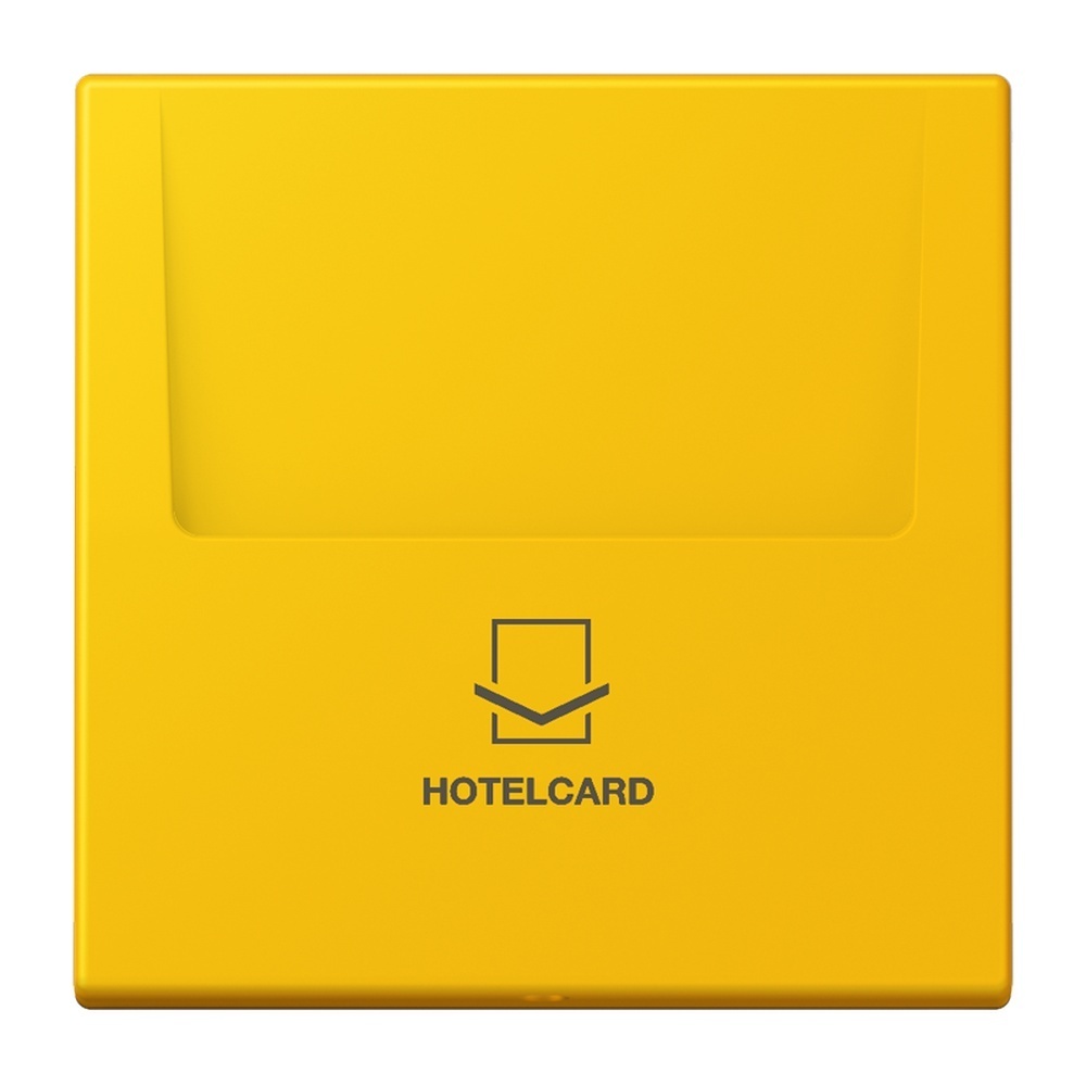 Jung Hotelcard Schalter LC590CARD263